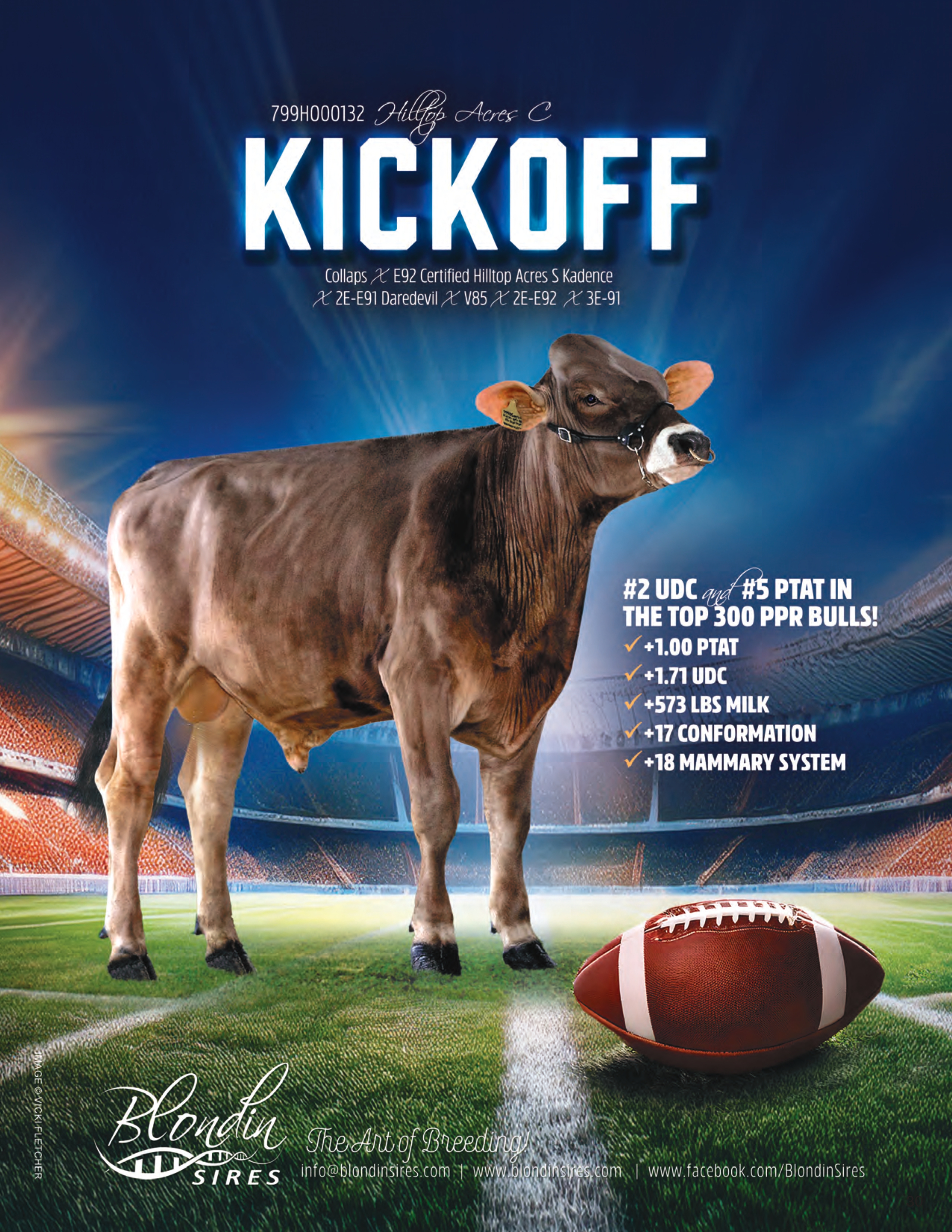 KICKOFF — 799BS00132